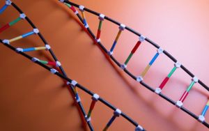 O fim do princípio-Adão