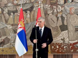 Delegacija Srbije predstavila izveštaj o ukidanju rasne diskriminacije na zasedanju u Ženevi