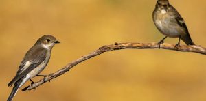 Cuando cambiar de pareja es la mejor opción