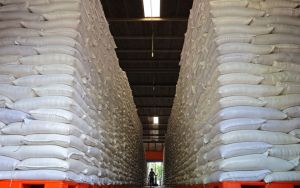 Indonesia's rice bowl gets bigger