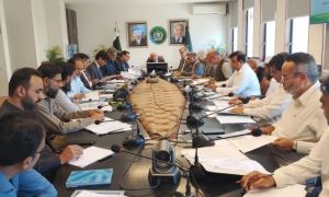 Govt sets Kharif targets amid water stress, cotton shortfall