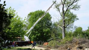 Morti sul lavoro nel cestello caduto chiesto il processo per tre indagati