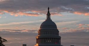 Little Kids, Big Government