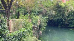 Dopo la tragedia è emergenza Botteniga, tra sponde che cedono e costi dei privati