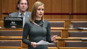 Macaristan: Çoğulculuk mu, yeni bir lider kültü mü?