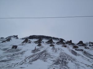 Det store norske kullparadokset