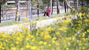 La primavera es lo que tiene