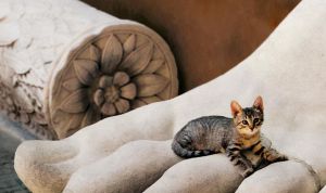 Roma, da luogo a destino