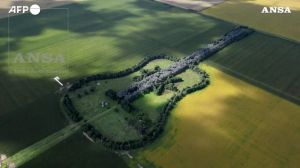 Argentina migliaia di alberi formano una chitarra di 1.100 metri in onore della moglie defunta