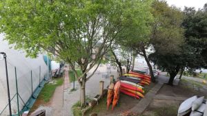 Vandali al polo nautico di San Giuliano: raccolta fondi a sostegno della Canottieri Mestre