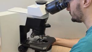 In Ematologia a Treviso oltre mille trapianti di cellule staminali nel 2025: così si curano linfomi e leucemie