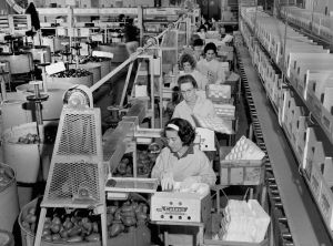 Why Aren’t Americans Working as Hard as They Used to?