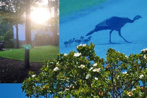 Not everyone notices the signs in life. Do you?