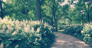 Working With the Inner Child