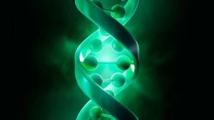 La selección natural se acelera: Harvard identifica 500 variantes genéticas que han cogido fuerza desde el neolítico