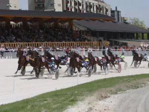 Doping sui cavalli all'ippodromo di Agnano, in otto a giudizio