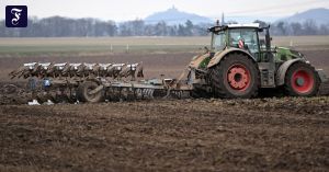 Sparen sollen die anderen