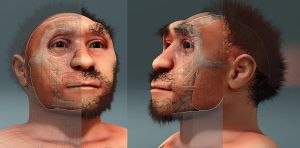 ¿Qué nos cuentan los fósiles humanos hallados en Asia en el último siglo?