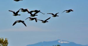 The Secret Advantage of Not Doing It Alone