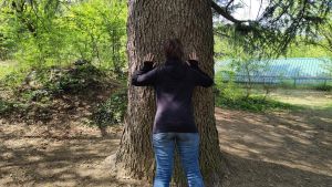 Ivrea, nel Parco della Polveriera un percorso per disconnettersi dal mondo digitale e connettersi con la natura