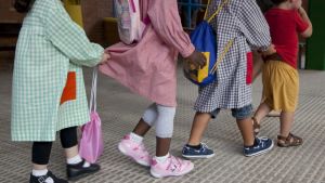 Nuevo proceso de escolarización