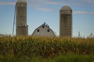 Idées | Qui nourrira le Québec si nos fermes disparaissent?