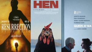 Film gibi şehirde, İstanbul Film Festivali filmleri