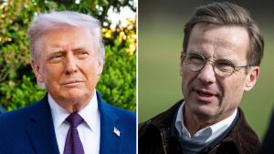 Vårt försvar borde vara bättre än så här