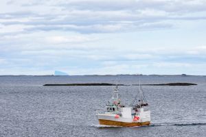 Hylekor fra Bondelaget og Senterpartiet