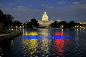 Reflexiones, por Fernando Luis EgaÃ±a