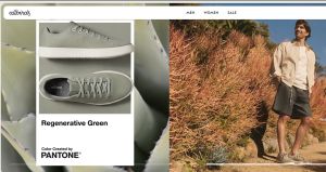 Allbirds (BIRD) Stock Surges Nearly 600% on Surprise AI Pivot: Should You Buy or Sell in 2026?