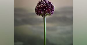 3. A summer of sex? Yes please!