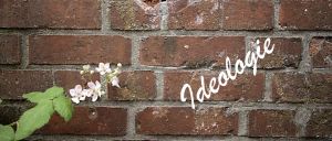 Der allzu schnelle Ideologie-Vorwurf