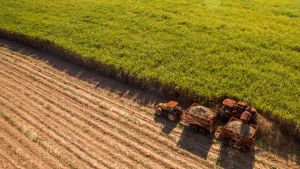 На изток от рая или защо българското земеделие е в девета глуха