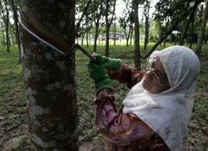 Rubber’s history could be a window into AI’s future