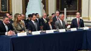 Shunning House race was logical choice for D'Esposito