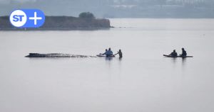 Walkampf an der Ostsee – wie ein sterbendes Tier instrumen­talisiert wird