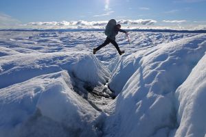 Can the Arctic Council Survive?