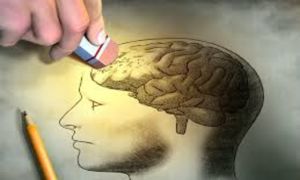 Eva Higueras: «El olvido político»