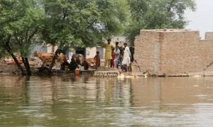 Japan contributes $2 million to support communities affected by climate disasters in Pakistan