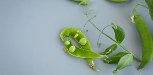 La proteína del guisante y el último misterio de Mendel: ciencia para comer mejor