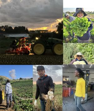 Let your food be your medicine