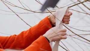 Met deze rituelen staan kerken stil bij de klimaatcrisis. ‘Jezus vergelijkt zich met een graankorrel’