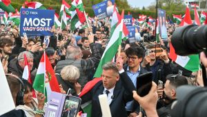 ¿Son sabias las mayorías?