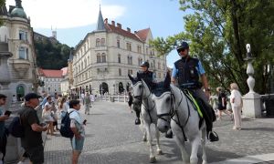 Do zavetišča za konje po vseh bližnjicah, tudi mimo vladne službe za zakonodajo