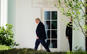 What is the 25th Amendment and could it be used to remove Trump from office?