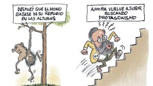 Después de que el mono bajase