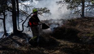 Når engangs­grillen koster samfunnet millioner