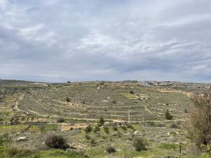 Severe Weather Threat