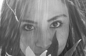 ¿La ley o la aplicación?